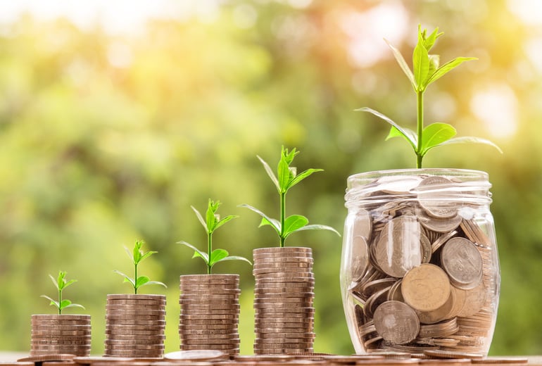 Plants Growing From Piled Coins